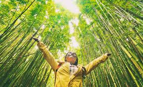 How to Travel Sustainably: A Practical Guide